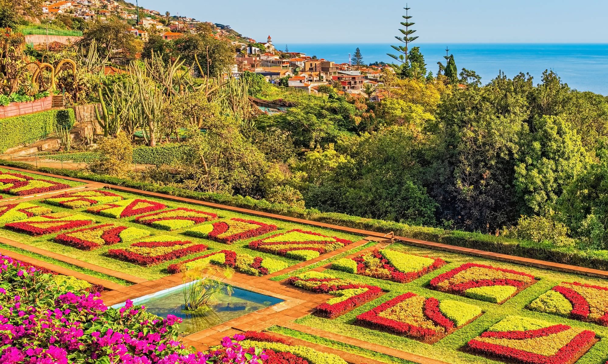 Funchal Elementar Real Estate